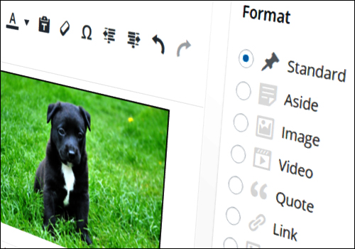post formats wordpress tutorial