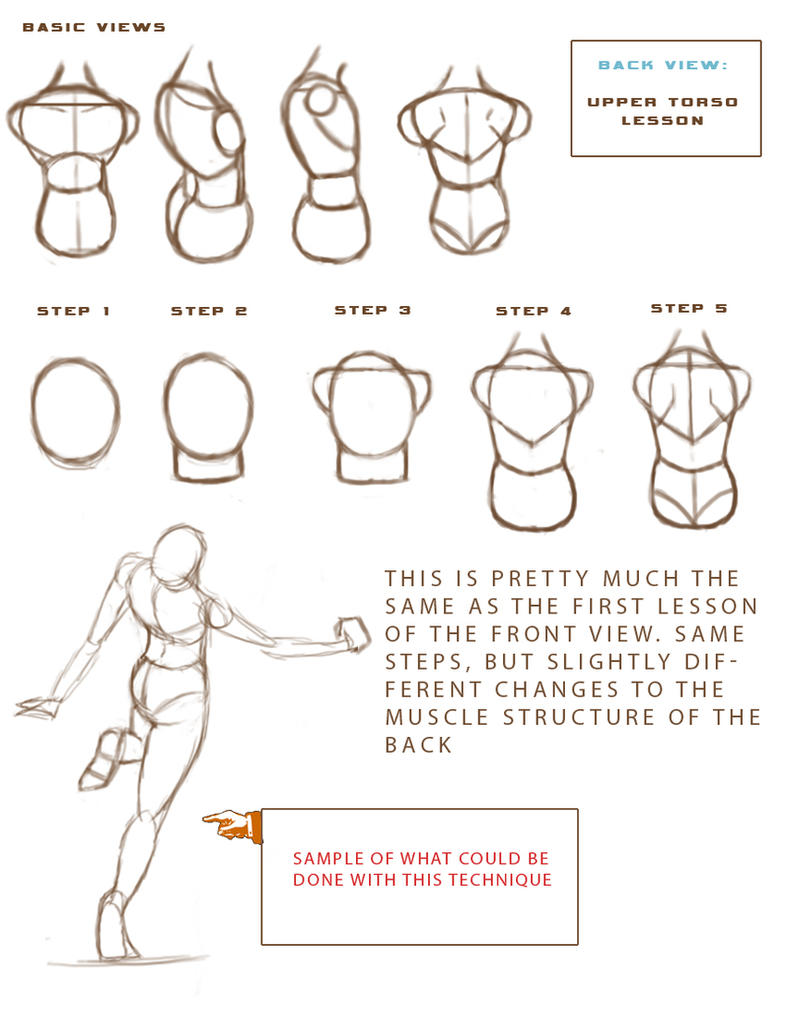 female anatomy drawing tutorial