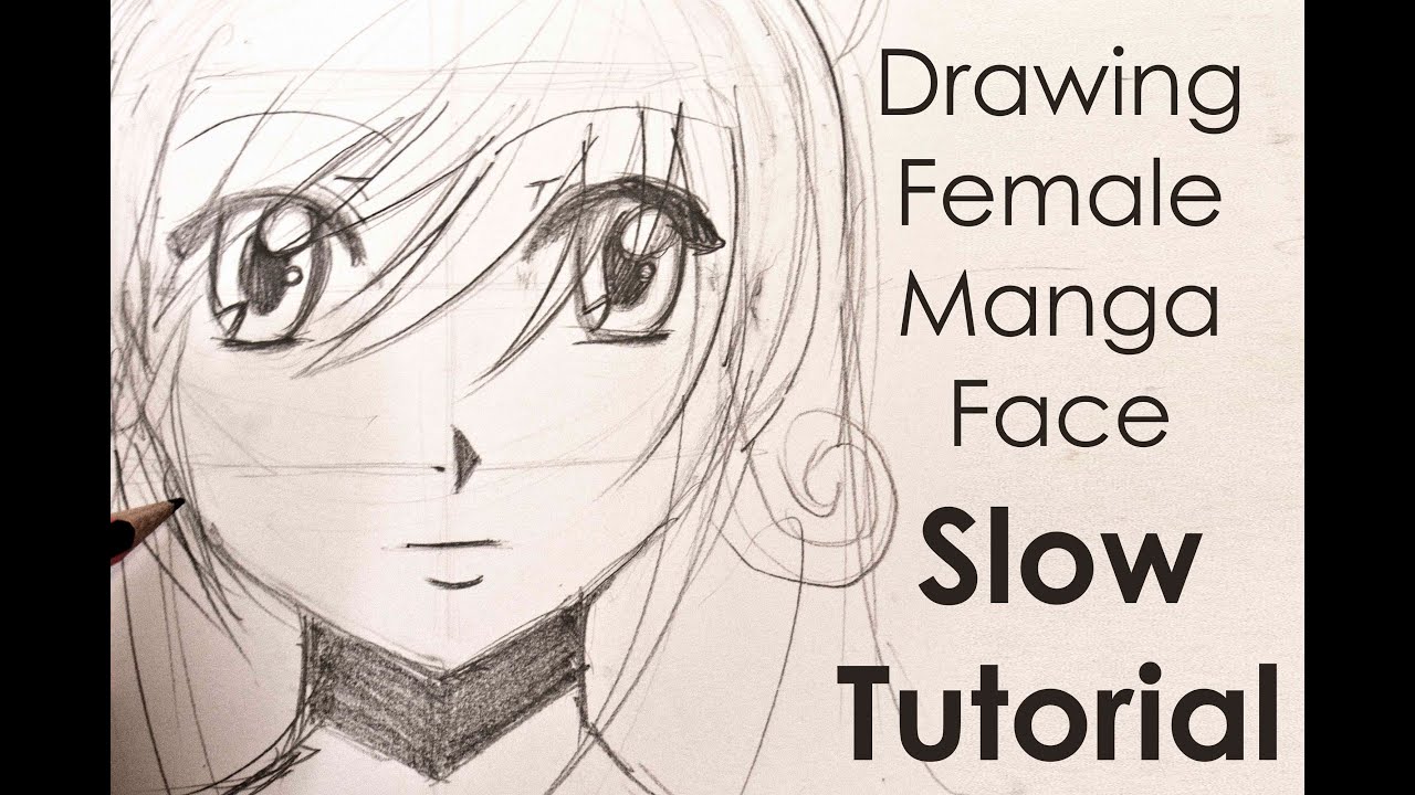 manga tutorial for beginners