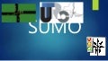 sumo simulation of urban mobility tutorial